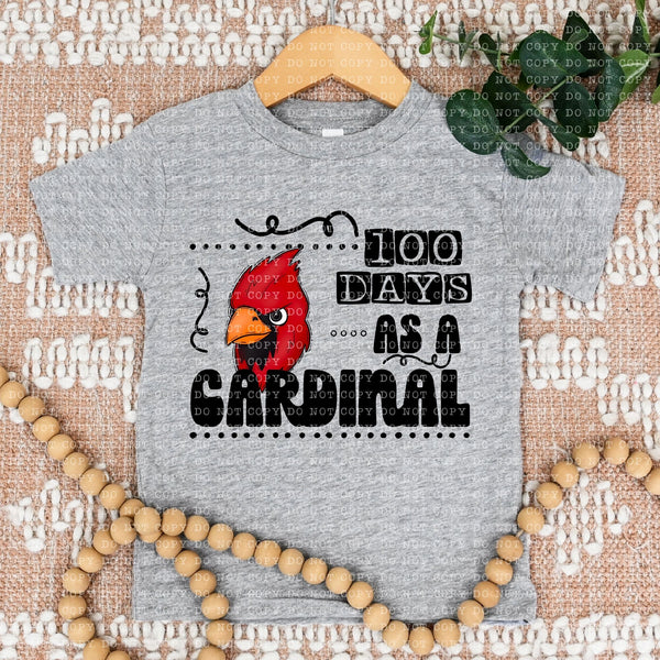 Cardinal 100 Days Dtf